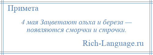 
    4 мая Зацветают ольха и береза — появляются сморчки и строчки.