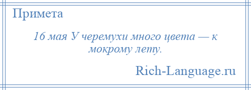 
    16 мая У черемухи много цвета — к мокрому лету.