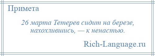 
    26 марта Тетерев сидит на березе, нахохлившись, — к ненастью.