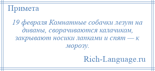 
    19 февраля Комнатные собачки лезут на диваны, сворачиваются калачиком, закрывают носики лапками и спят — к морозу.