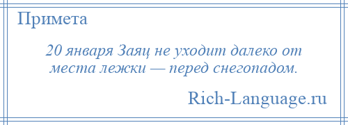 
    20 января Заяц не уходит далеко от места лежки — перед снегопадом.