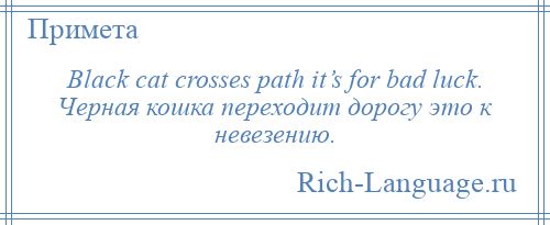 
    Black cat crosses path it’s for bad luck. Черная кошка переходит дорогу это к невезению.