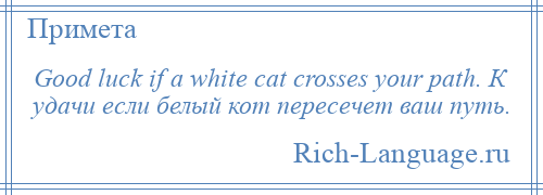 
    Good luck if a white cat crosses your path. К удачи если белый кот пересечет ваш путь.