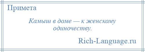 
    Камыш в доме — к женскому одиночеству.