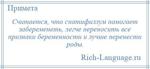 
    Считается, что спатифиллум помогает забеременеть, легче переносить все признаки беременности и лучше перенести роды.