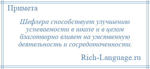 
    Шефлера способствует улучшению успеваемости в школе и в целом благотворно влияет на умственную деятельность и сосредоточенности.