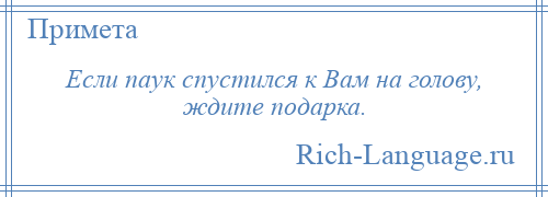 
    Если паук спустился к Вам на голову, ждите подарка.