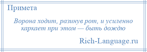 
    Ворона ходит, разинув рот, и усиленно каркает при этом — быть дождю