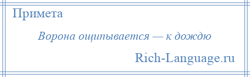
    Ворона ощипывается — к дождю