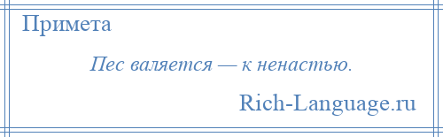 
    Пес валяется — к ненастью.