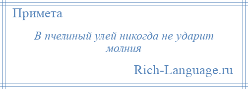 
    В пчелиный улей никогда не ударит молния