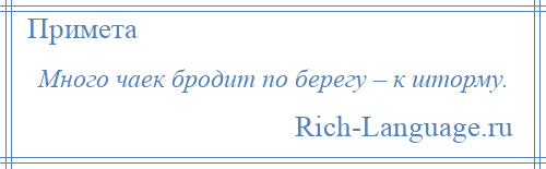 
    Много чаек бродит по берегу – к шторму.