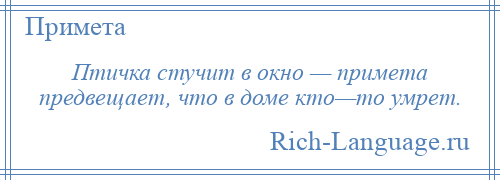 
    Птичка стучит в окно — примета предвещает, что в доме кто—то умрет.