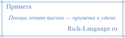 
    Птицы летят высоко — примета к удаче.