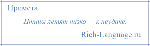 
    Птицы летят низко — к неудаче.