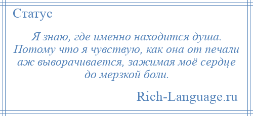 
    Я знаю, где именно находится душа. Потому что я чувствую, как она от печали аж выворачивается, зажимая моё сердце до мерзкой боли.
