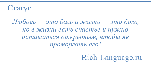 
    Любовь — это боль и жизнь — это боль, но в жизни есть счастье и нужно оставаться открытым, чтобы не проморгать его!