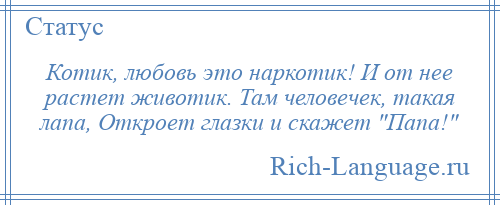 
    Котик, любовь это наркотик! И от нее растет животик. Там человечек, такая лапа, Откроет глазки и скажет Папа! 