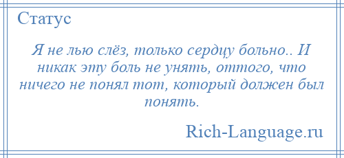 
    Я не лью слёз, только сердцу больно.. И никак эту боль не унять, оттого, что ничего не понял тот, который должен был понять.