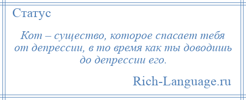 
    Кот – существо, которое спасает тебя от депрессии, в то время как ты доводишь до депрессии его.