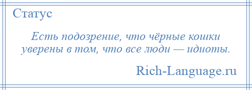 
    Есть подозрение, что чёрные кошки уверены в том, что все люди — идиоты.