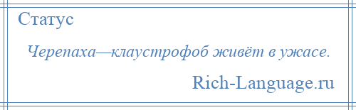 
    Черепаха—клаустрофоб живёт в ужасе.