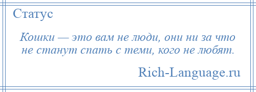 
    Кошки — это вам не люди, они ни за что не станут спать с теми, кого не любят.