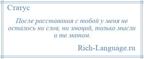
    После расставания с тобой у меня не осталось ни слов, ни эмоций, только мысли и те матом.