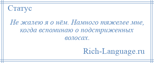 
    Не жалею я о нём. Намного тяжелее мне, когда вспоминаю о подстриженных волосах.