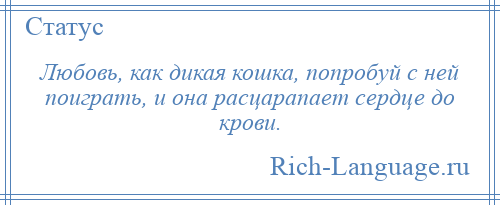 
    Любовь, как дикая кошка, попробуй с ней поиграть, и она расцарапает сердце до крови.