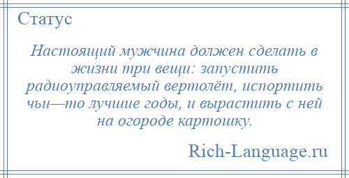 
    Настоящий мужчина должен сделать в жизни три вещи: запустить радиоуправляемый вертолёт, испортить чьи—то лучшие годы, и вырастить с ней на огороде картошку.