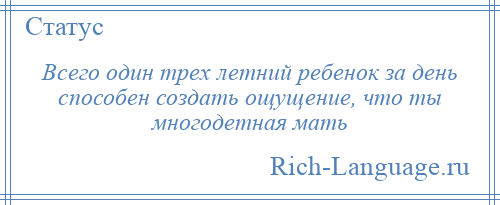 
    Всего один трех летний ребенок за день способен создать ощущение, что ты многодетная мать