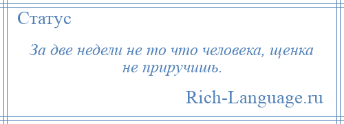 
    За две недели не то что человека, щенка не приручишь.