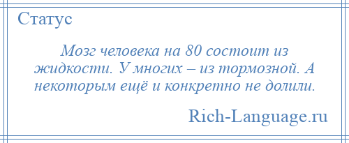 
    Мозг человека на 80 состоит из жидкости. У многих – из тормозной. А некоторым ещё и конкретно не долили.