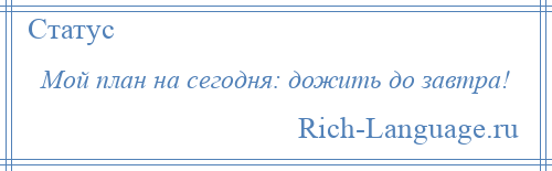 
    Мой план на сегодня: дожить до завтра!