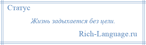 
    Жизнь задыхается без цели.