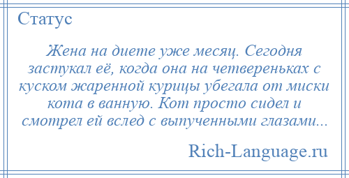 
    Жена на диете уже месяц. Сегодня застукал её, когда она на четвереньках с куском жаренной курицы убегала от миски кота в ванную. Кот просто сидел и смотрел ей вслед с выпученными глазами...