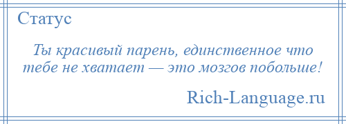 
    Ты красивый парень, единственное что тебе не хватает — это мозгов побольше!