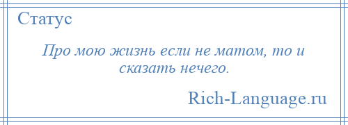 
    Про мою жизнь если не матом, то и сказать нечего.