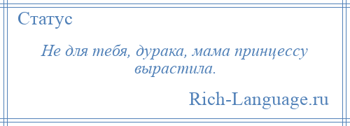 
    Не для тебя, дурака, мама принцессу вырастила.