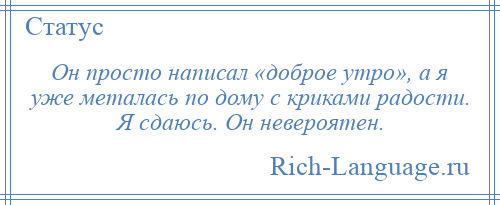 
    Он просто написал «доброе утро», а я уже металась по дому с криками радости. Я сдаюсь. Он невероятен.