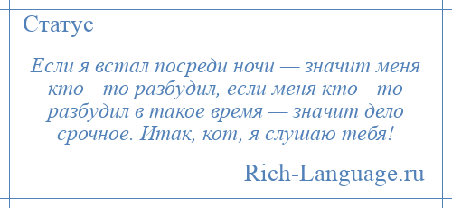 
    Если я встал посреди ночи — значит меня кто—то разбудил, если меня кто—то разбудил в такое время — значит дело срочное. Итак, кот, я слушаю тебя!