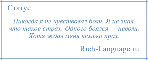 
    Никогда я не чувствовал боли. Я не знал, что такое страх. Одного боялся — неволи. Хотя ждал меня только прах.