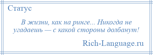 
    В жизни, как на ринге... Никогда не угадаешь — с какой стороны долбанут!