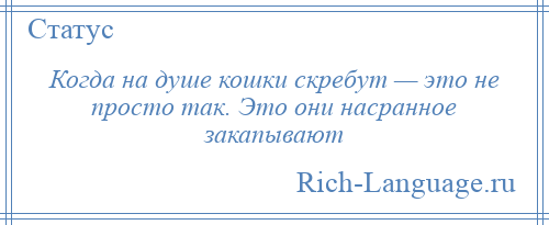 
    Когда на душе кошки скребут — это не просто так. Это они насранное закапывают