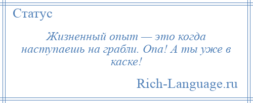 
    Жизненный опыт — это когда наступаешь на грабли. Опа! А ты уже в каске!