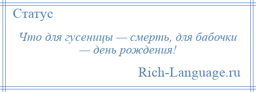 
    Что для гусеницы — смерть, для бабочки — день рождения!