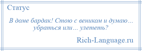 
    В доме бардак! Стою с веником и думаю… убраться или… улететь?