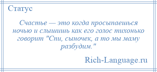 
    Счастье — это когда просыпаешься ночью и слышишь как его голос тихонько говорит Спи, сыночек, а то мы маму разбудим. 