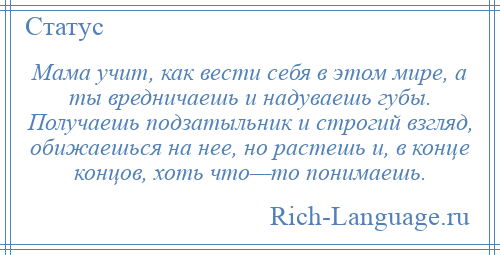 
    Мама учит, как вести себя в этом мире, а ты вредничаешь и надуваешь губы. Получаешь подзатыльник и строгий взгляд, обижаешься на нее, но растешь и, в конце концов, хоть что—то понимаешь.